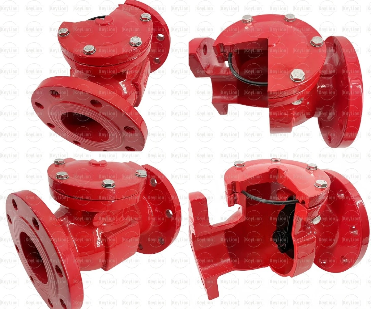 3 Inch Flanged Check Valve 3 Inch Flanged Check Valve